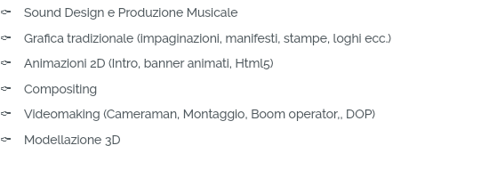 C Sound Design e Produzione Musicale C Grafica tradizionale (impaginazioni, manifesti, stampe, loghi ecc.) C Animazioni 2D (Intro, banner animati, Html5) C Compositing C Videomaking (Cameraman, Montaggio, Boom operator,, DOP) C Modellazione 3D 